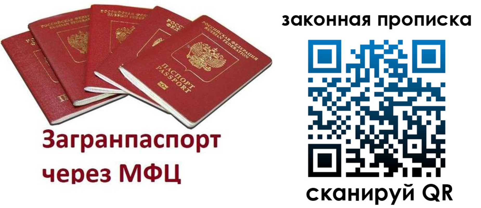 временная регистрация поиск в Светлогорске